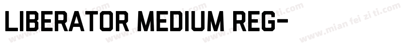 Liberator Medium Reg字体转换